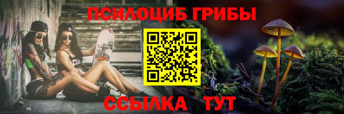 Галлюциногенные грибы Cubensis  Вход с VPN  Москва 